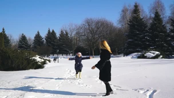 Мама і дочка гуляють в зимовому парку — стокове відео