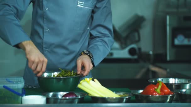 Шеф-повар смешивает салат — стоковое видео