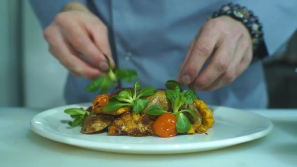 Chef acabamento e enfeite comida que ele preparou, um prato com carne de porco e legumes — Vídeo de Stock