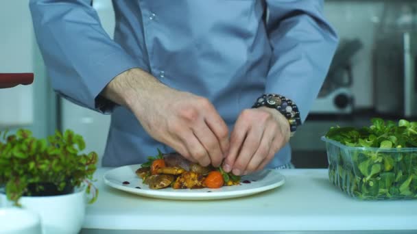 Кулинарный стилист украшает блюдо из свинины. Официант, подающий еду для презентации клиенту — стоковое видео