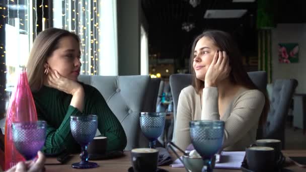 Två vänner sitter på ett café, har kul och kramas — Stockvideo