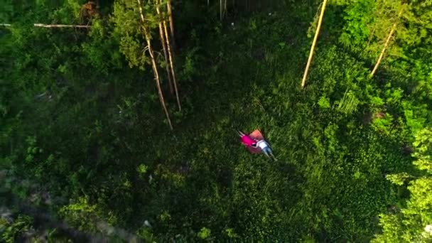コムギ畑に寝そべっている夫婦の空中像 — ストック動画