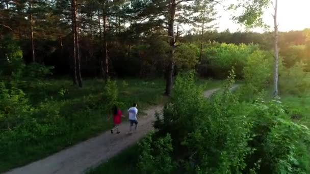 森の中を二人歩く。上からの眺めは — ストック動画