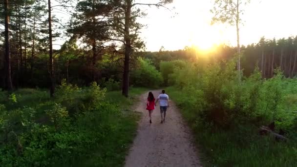 Birbirine aşık bir çift ormanda yürür ve sarılır. Yukarıdan görünüm — Stok video