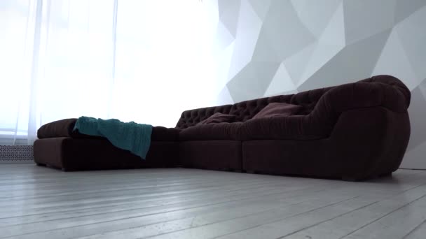 Canapé confortable avec oreillers dans le salon - zoom arrière — Video