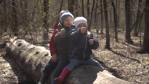 Dos hermanos se divierten en el bosque sentado en un árbol, lento-mo — Vídeo de stock