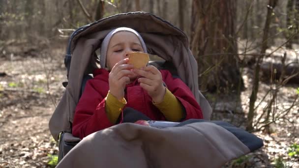 Bebê no carrinho em um passeio no parque de outono. Um menino adorável de casaco. Queda de diversão ao ar livre para criança. Criança em buggy . — Vídeo de Stock