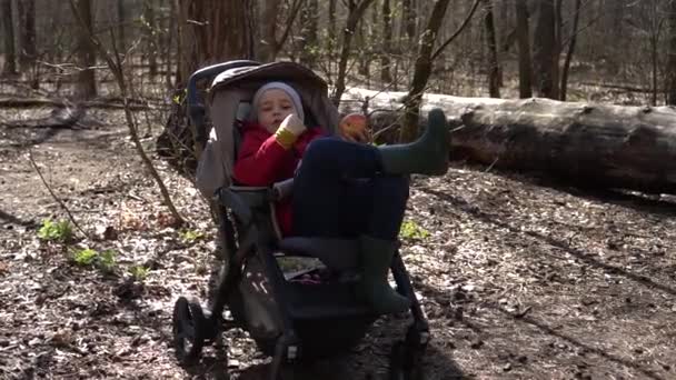 Мальчик сидит в коляске и ест вкусное печенье — стоковое видео