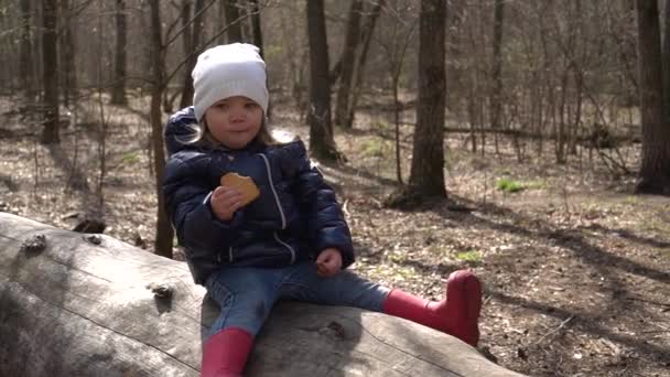Una niña está sentada en un tronco en el bosque — Vídeos de Stock