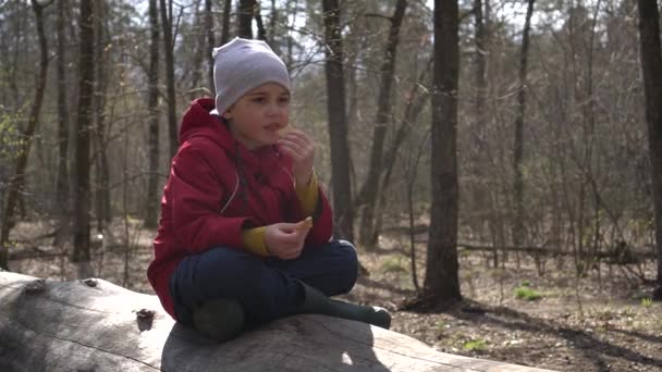 Мальчик ест печенье в лесу, маленький мальчик сидит на дереве — стоковое видео