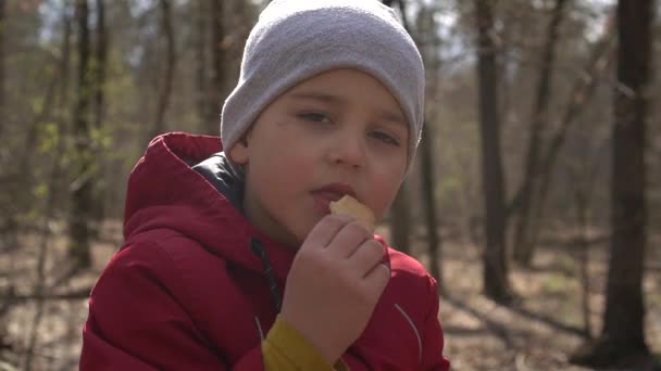 Мальчик ест печенье в лесу, крупным планом, медленно — стоковое видео