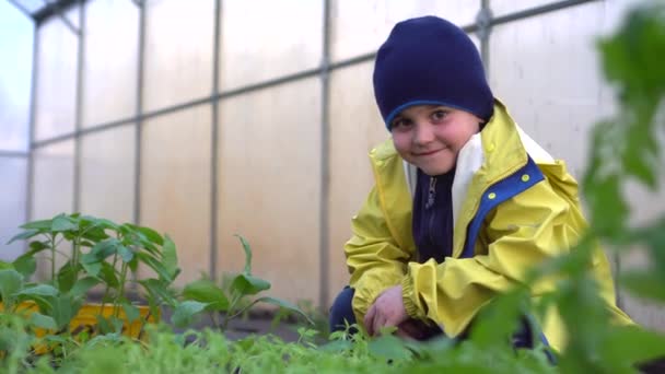 Un niño sonríe en el invernadero — Vídeo de stock