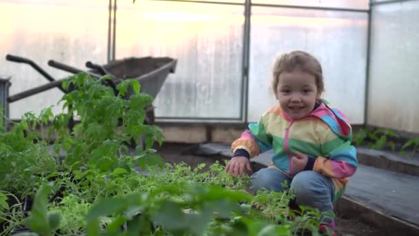 Roztomilé malé dítě dívka výsadba mladých sazenic v černé půdě v zahradě se zábavou — Stock video