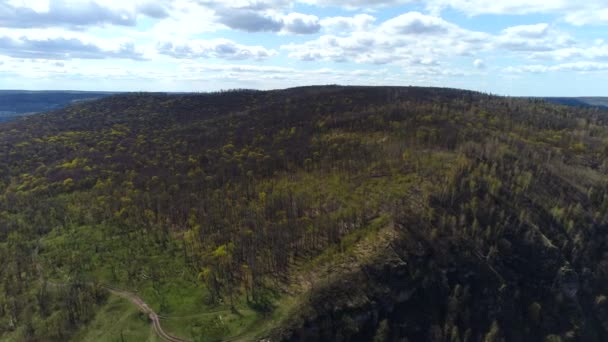 Árboles desnudos en el bosque y paisaje de montaña en el fondo — Vídeo de stock