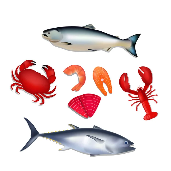 Set de fruits de mer. Saumon, thon, crabe, homard, crevettes . — Image vectorielle