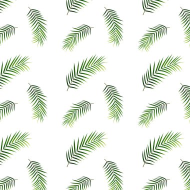 Tropikal palmiye desen. Dikişsiz desen tropikal palmiye yaprakları.