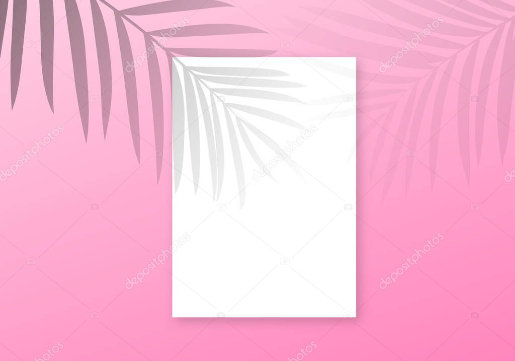 Palm shadow overlay background. Vector transparent palm leaves summer banner
