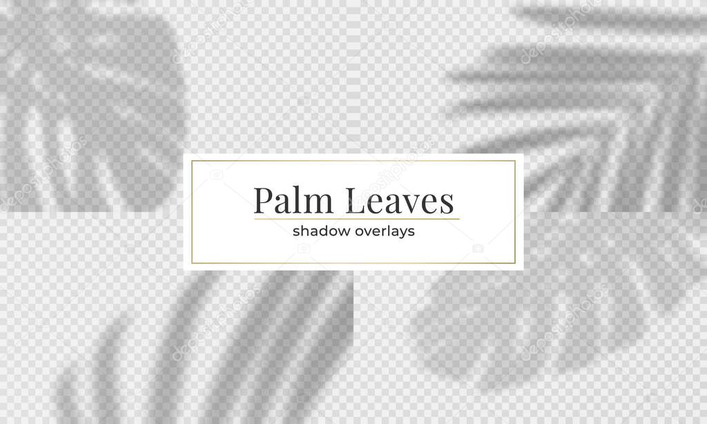 Set of vector leaves shadow overlay effect. Vector tropical palm leaves overlay
