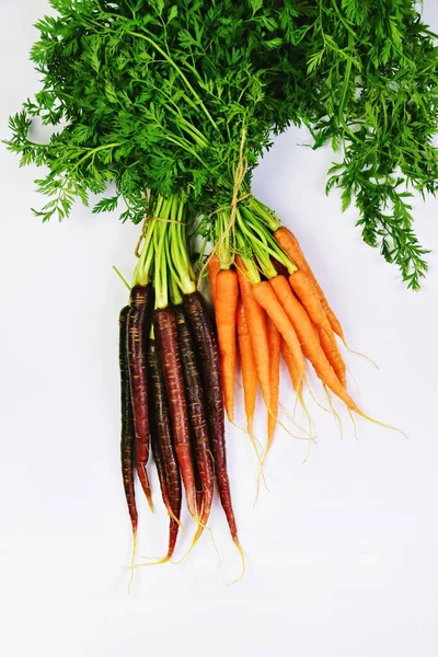 Bunches Fresh Red Orange Carrots — Stock Photo, Image