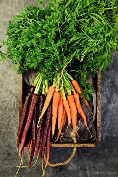 Sträuße Frischer Roter Und Orangefarbener Karotten Auf Dem Grauen Hintergrund — Stockfoto