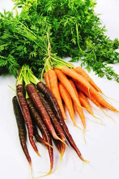 Bunches Fresh Red Orange Carrots Selective Focus — Stock Photo, Image