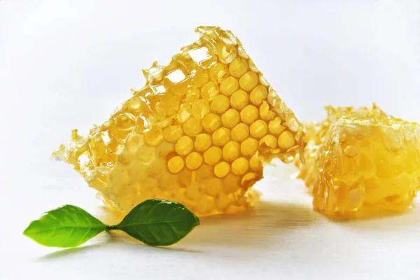 Beyaz arkaplanda izole edilmiş nane yapraklı bal petekleri