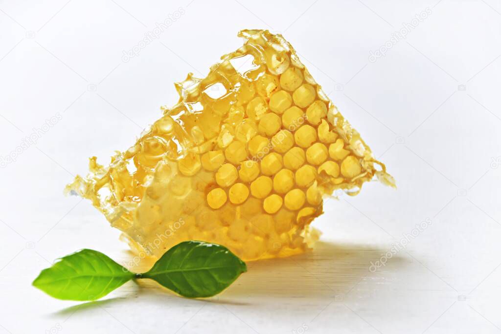 honeycombs with mint leaves isolated on white background