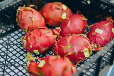 Dragon meyve veya pitaya sepet.