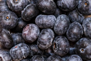 Yaban mersini yakın çekim