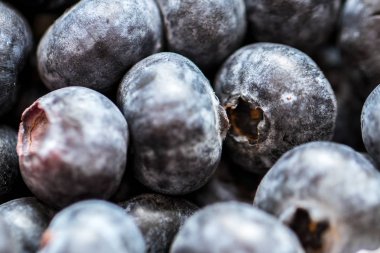 Yaban mersini yakın çekim