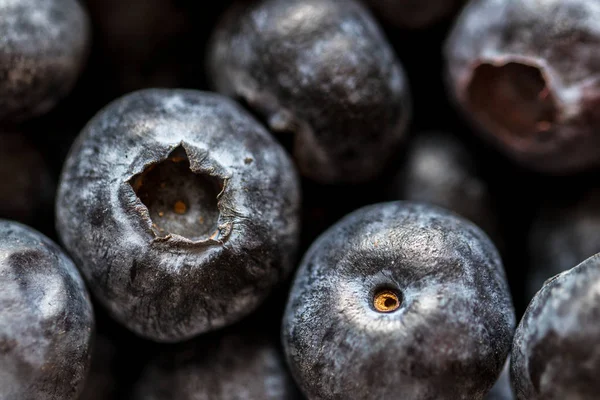 Tutup Dari Blueberry — Stok Foto