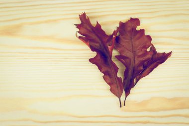 ahşap arka plan bahar çiçek