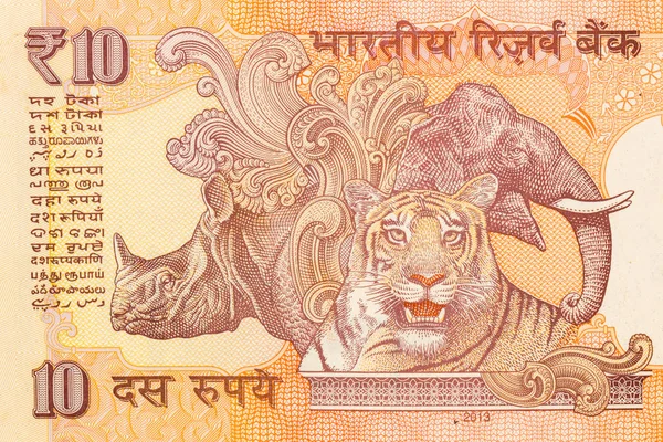 Close Indian Rupee Backside Background — Stock Photo, Image
