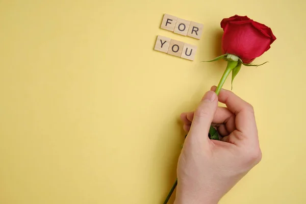 Una mano sostiene una rosa roja junto a cuadrados de madera con la inscripción para usted. Papel amarillo fondo . — Foto de Stock