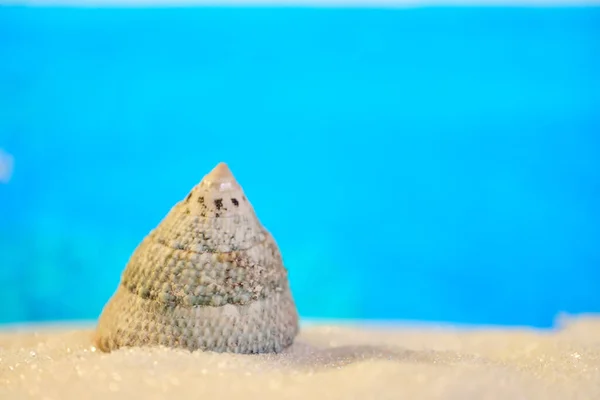 추상적 모래에 삼각형으로 바다의 배경에 있습니다 가까이 — 스톡 사진