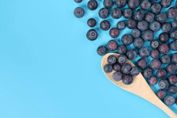 Tutup Salin Ruang Blueberries Pada Spatula Kayu Tutup Salin Ruang — Stok Foto