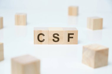 Modern iş parolası - CSF - kritik başarı faktörü. Beyaz arka planda tahta bloklar olduğu söyleniyor. Kapat..