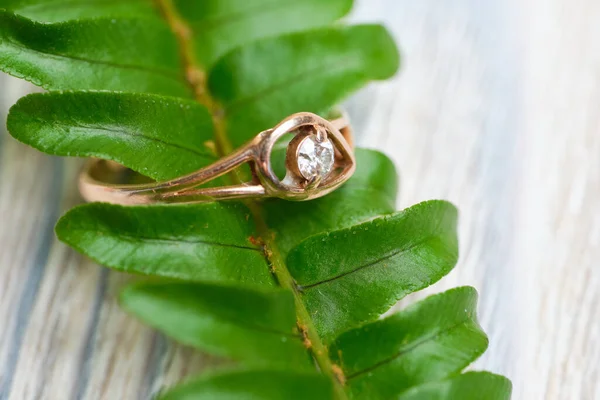 Wedding Ring Green Branch Close — Stock Photo, Image