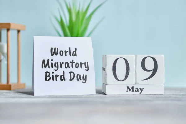 Holiday World Migratory Bird Day Maj Månad Kalender Koncept Träklossar — Stockfoto
