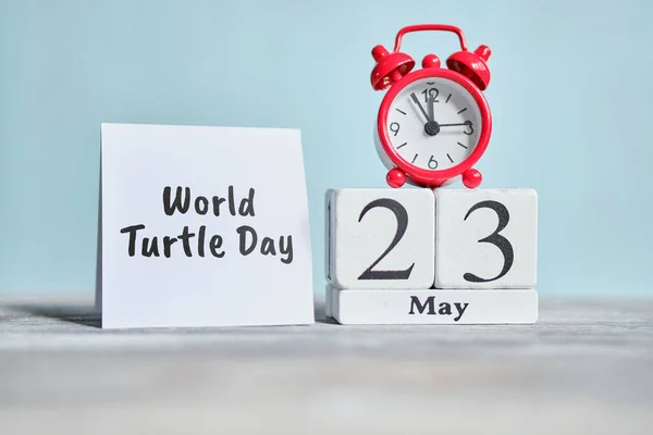 Tjugotredje World Turtle Dag Maj Månad Kalender Koncept Träklossar Närbild — Stockfoto