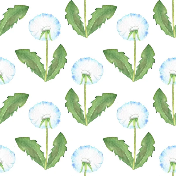 Karahindiba, seamless modeli 1