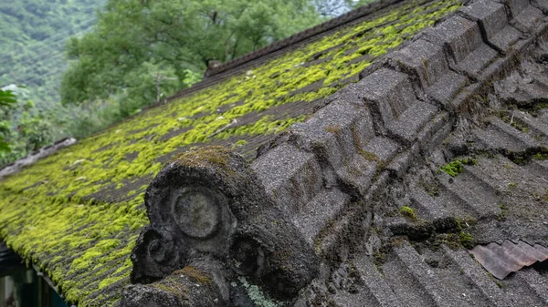 Blisko Japoński Stary Dach Domu Mech Szczycie Forest Hill — Zdjęcie stockowe