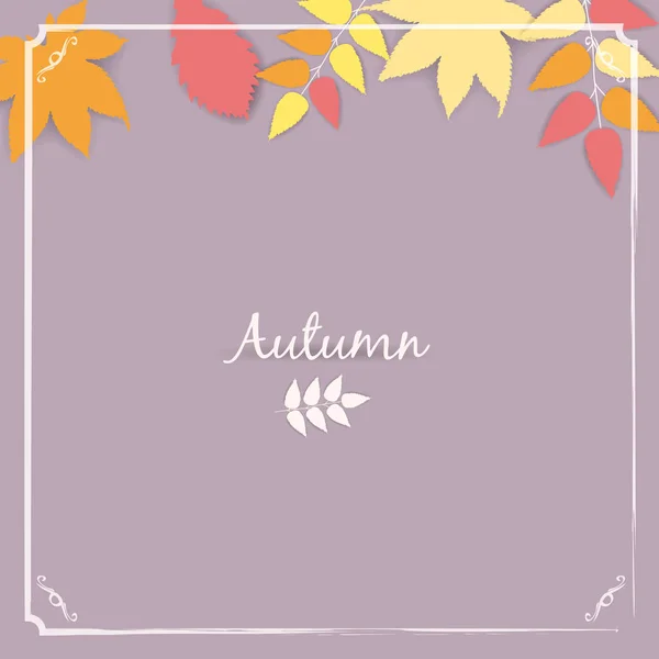 Collection beautiful colour autumn leaves isolated vector illustration — Stock Vector