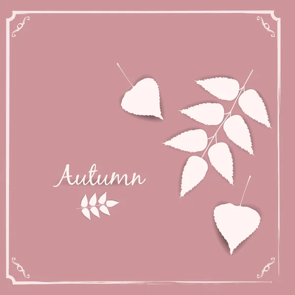 Colección hermoso blanco otoño hojas aisladas vector ilustración — Vector de stock