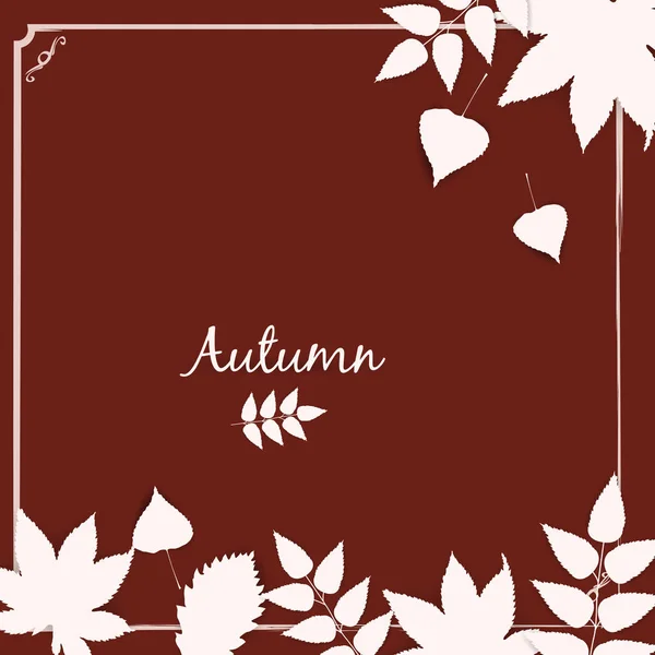 Collezione bella bianco autunno foglie isolato vettoriale illustrazione — Vettoriale Stock
