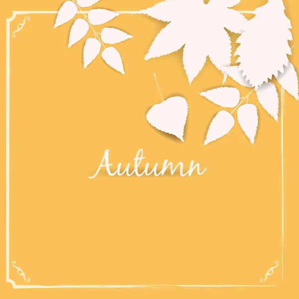 Gyönyörű fehér őszi levelek elszigetelt gyűjtemény a vektoros illusztráció — Stock Vector