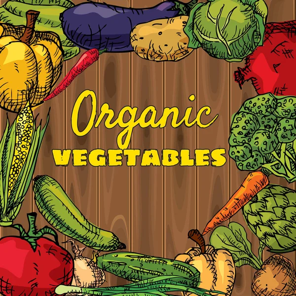 Organik meyve ve sebze, gıda, el çizimi, vektör, afiş, vintage, illüstrasyon