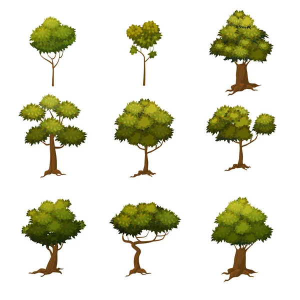 Conjunto de diferentes árvores de estilo cartoon, ilustração vetorial — Vetor de Stock