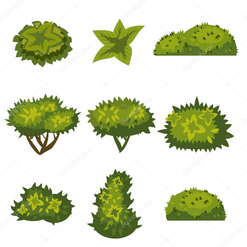 Set of bushes for games, applications, cartoon style, vector, illustration, isolated
