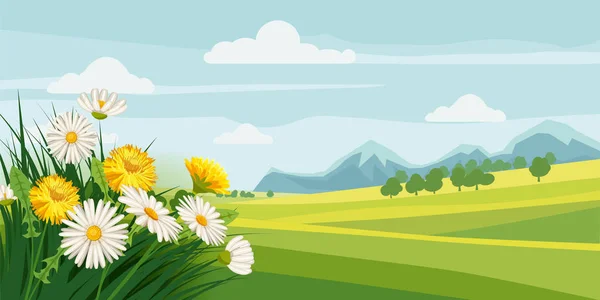 Primavera belas paisagens, campos, flores de camomila, dentes-de-leão, montanhas, nuvens, estilo dos desenhos animados, vetor, ilustração, isolado — Vetor de Stock